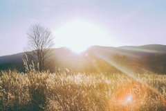 在马年新春的背景下