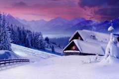 展现出一种不张扬的奢华