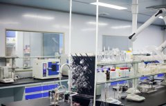 合作半年内订单量增长3